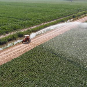 ¿Cómo asimilo agua y desarrollo sostenible?