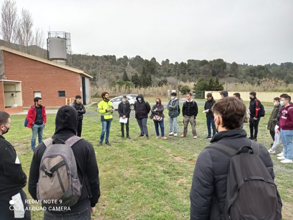 Coeducación                                 